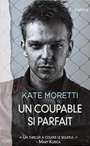 Un coupable si parfait 