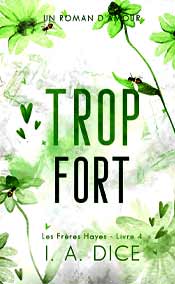 Les Frères Hayes - Livre 4